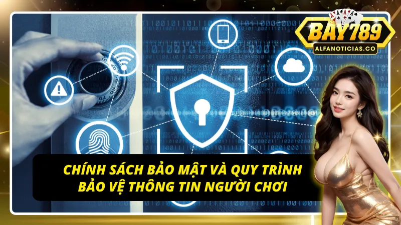 Những chính sách tại BAY789